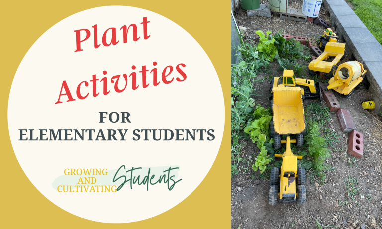 Plant-activities-for-Elementary-Students